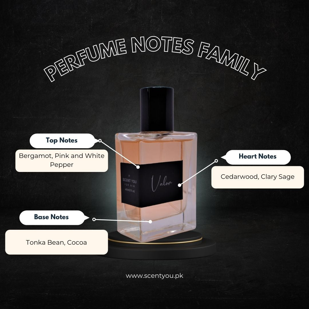 Valor For Him 6ml | Nearest Match to Carolina Herrera Bad Boy ScentYou.pk