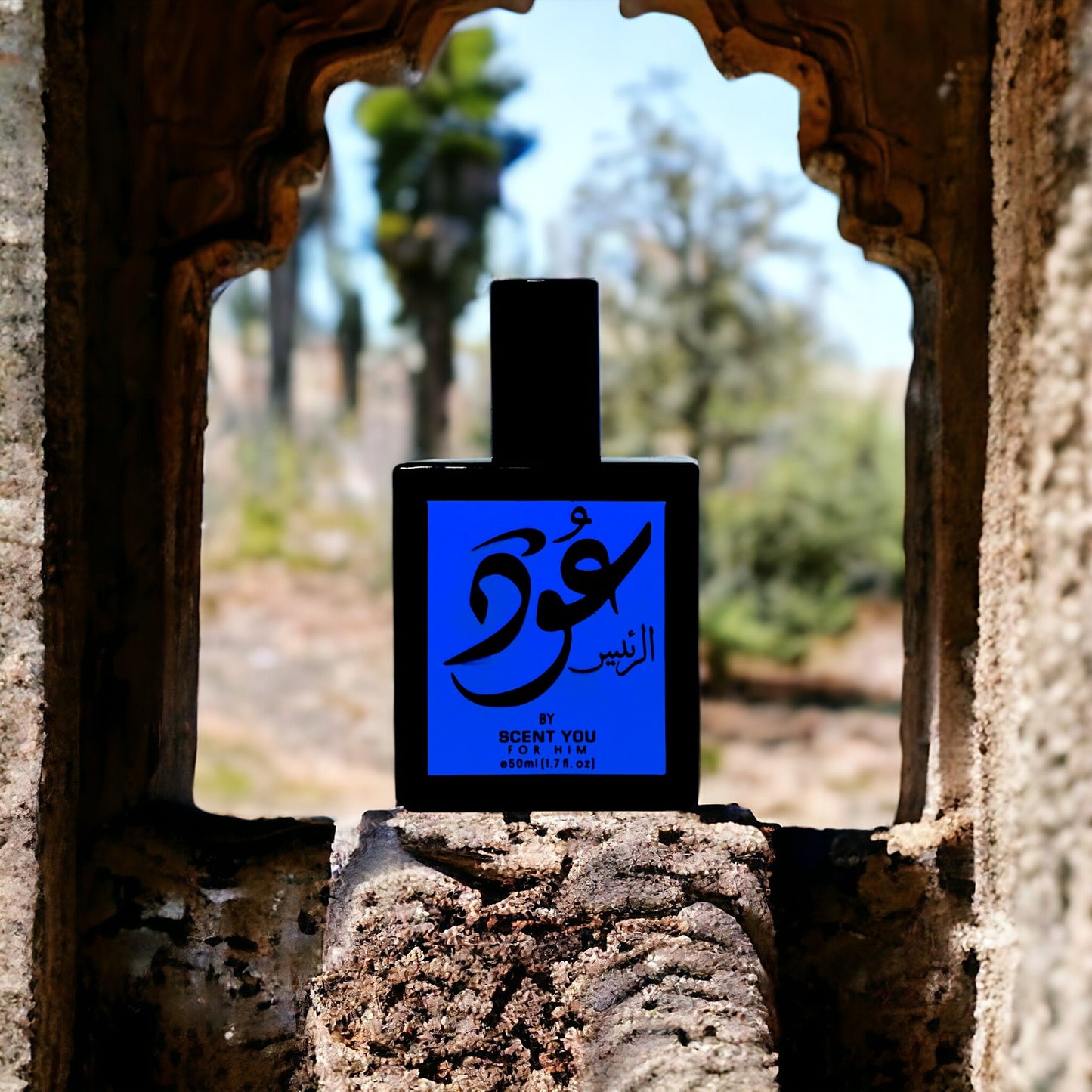 Oud Ar-Raees-50ml | Nearest match to Ameer ul Oud