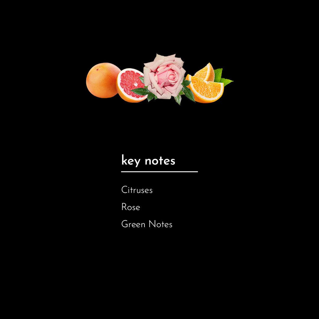 Maryam - Attar/Oil with Glass Stick - 12ml | Nearest Match to Sabaya - ScentYou.pk