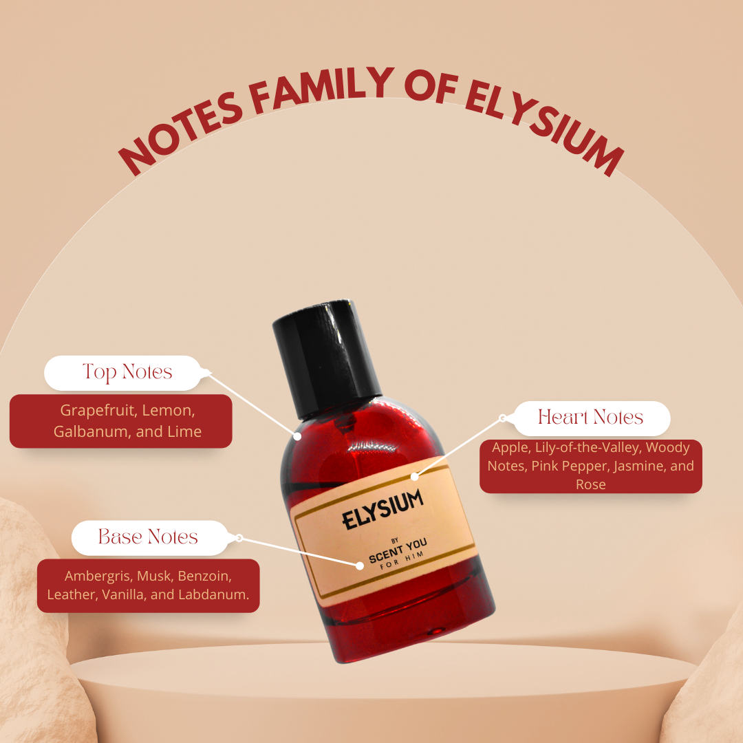 Elysium | Nearest Match to Elysium by Roja ScentYou.pk