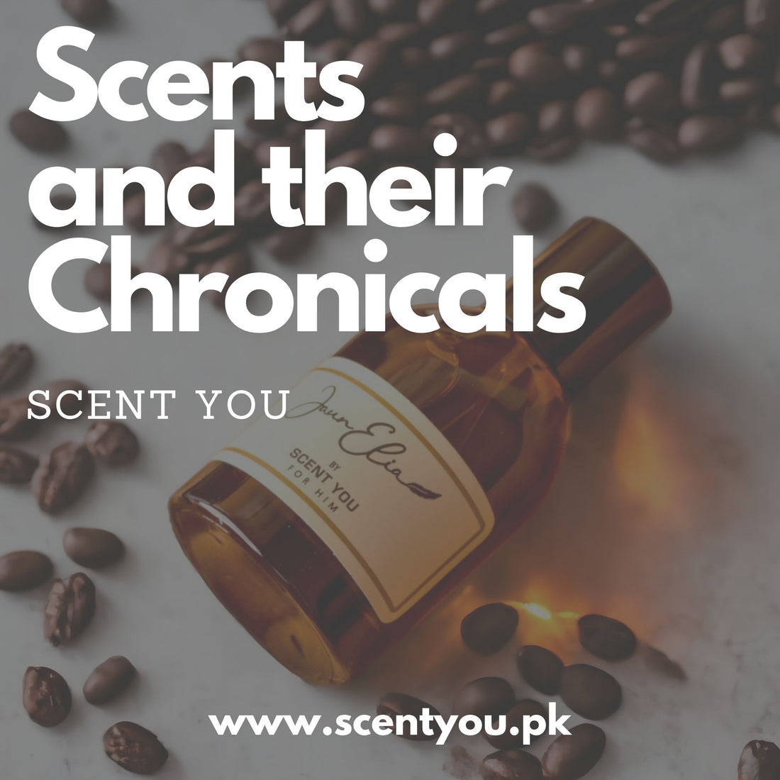 Scents have Stories/Chronicles: Find Your Signature Fragrance at Scent You