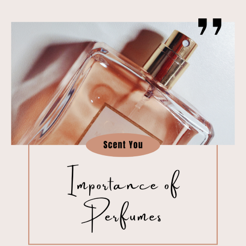Scent You explains why perfumes are important to wear