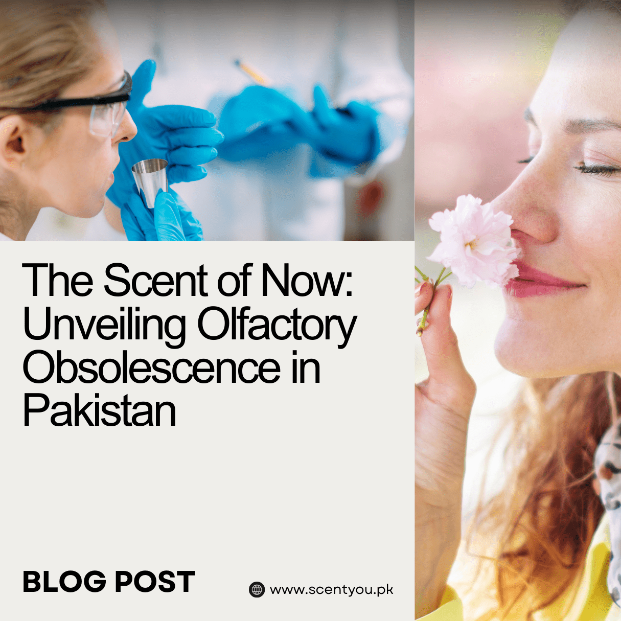 The Scent of Now: Unveiling Olfactory Obsolescence in Pakistan - ScentYou.pk