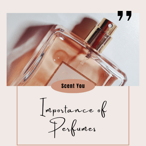 Why perfumes are important to wear? - ScentYou.pk