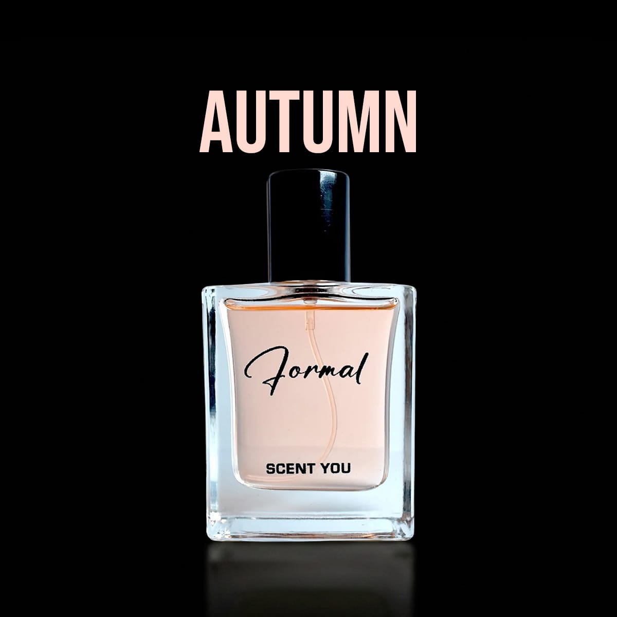 Autumn Collection - ScentYou.pk