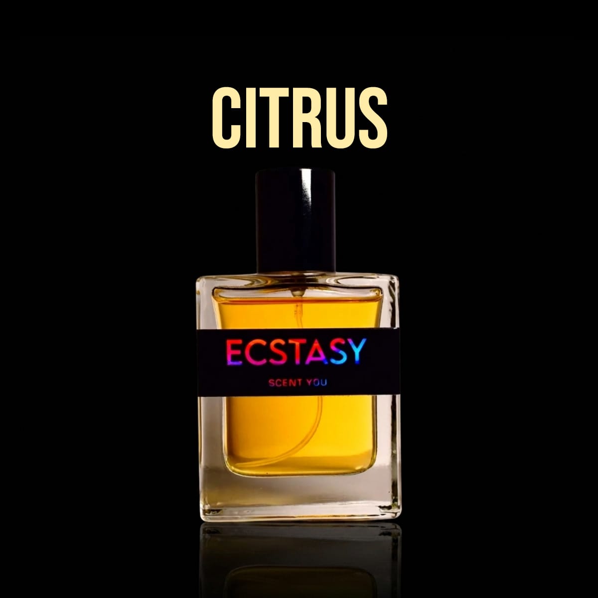 Citrus - ScentYou.pk
