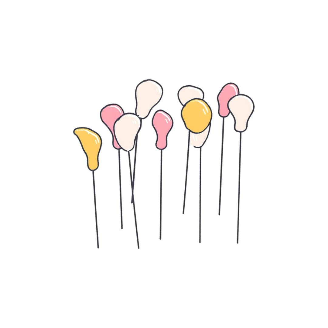 Staff Picks - ScentYou.pk