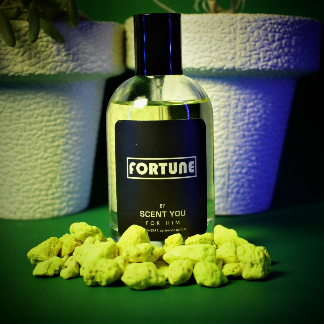 Fortune | Nearest Match to Acqua Di Gio by Giorgio Armani ScentYou.pk