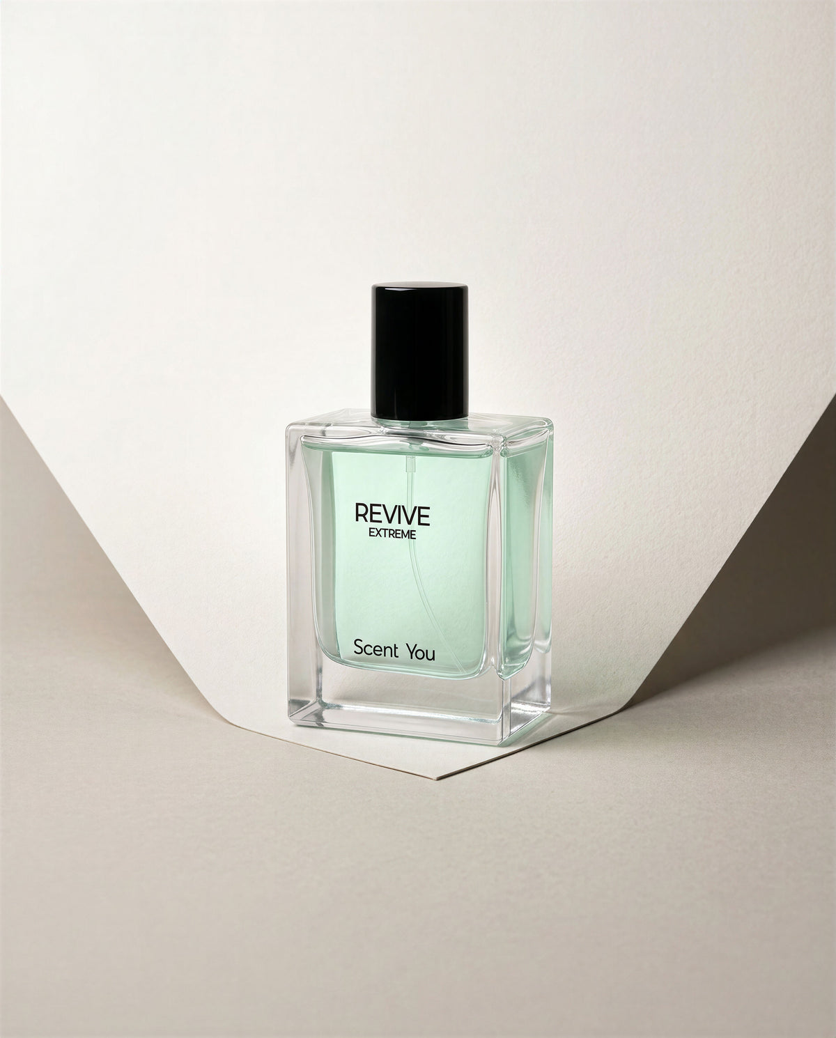 Revive Extreme - Hybrid of Blue De Chanel and Bvlgari Falkaar
