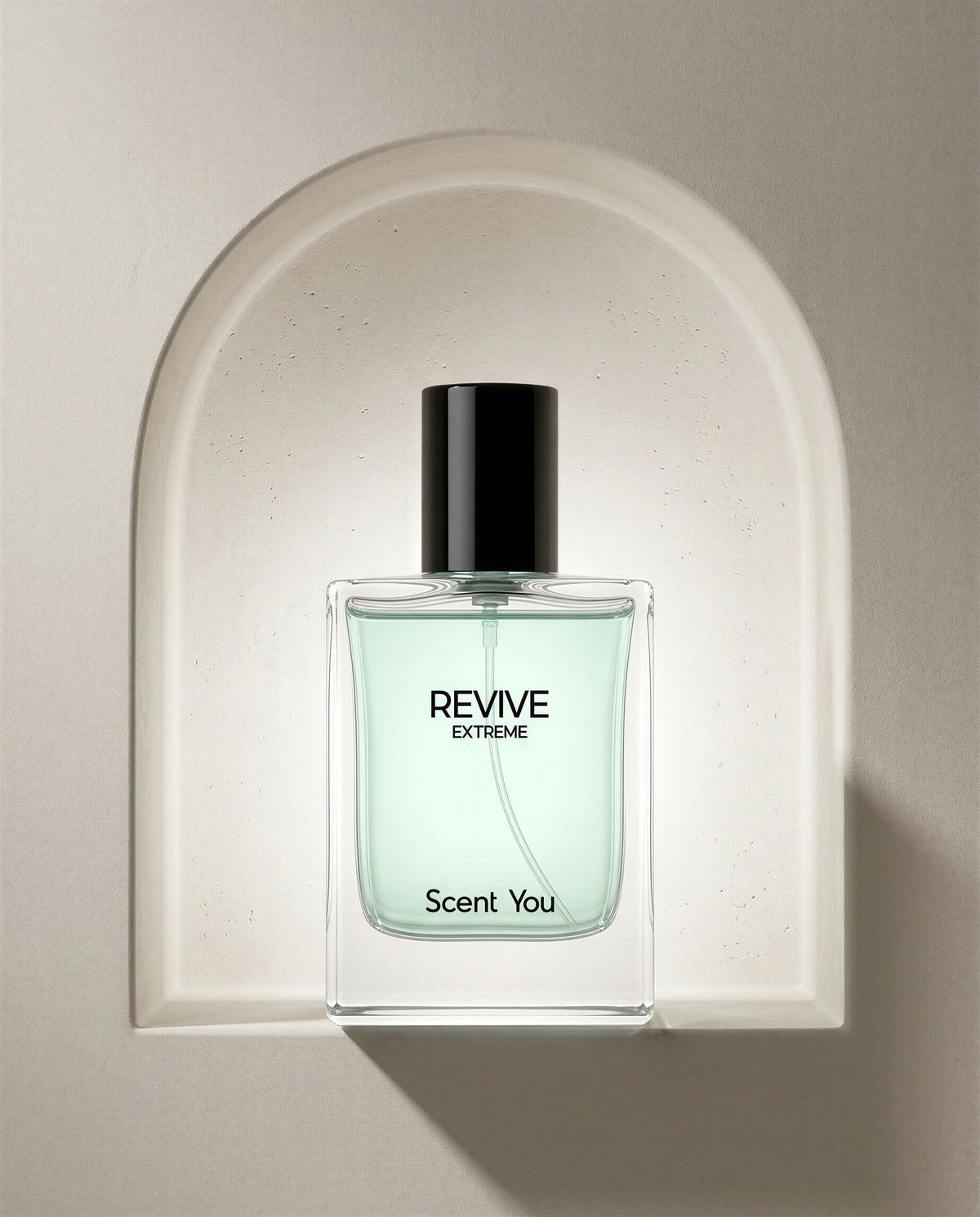 Revive Extreme - Hybrid of Blue De Chanel and Bvlgari Falkaar