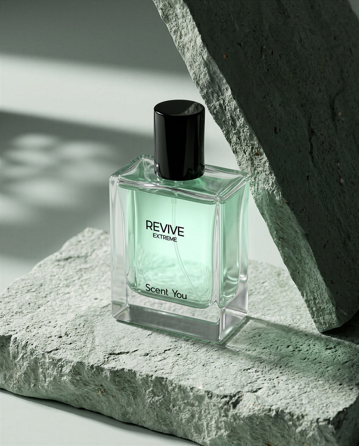 Revive Extreme - Hybrid of Blue De Chanel and Bvlgari Falkaar