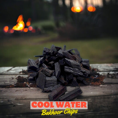 Bakhoor Chips Nearest match to Cool Water 50g - French - Aroma Therapy - ScentYou.pk