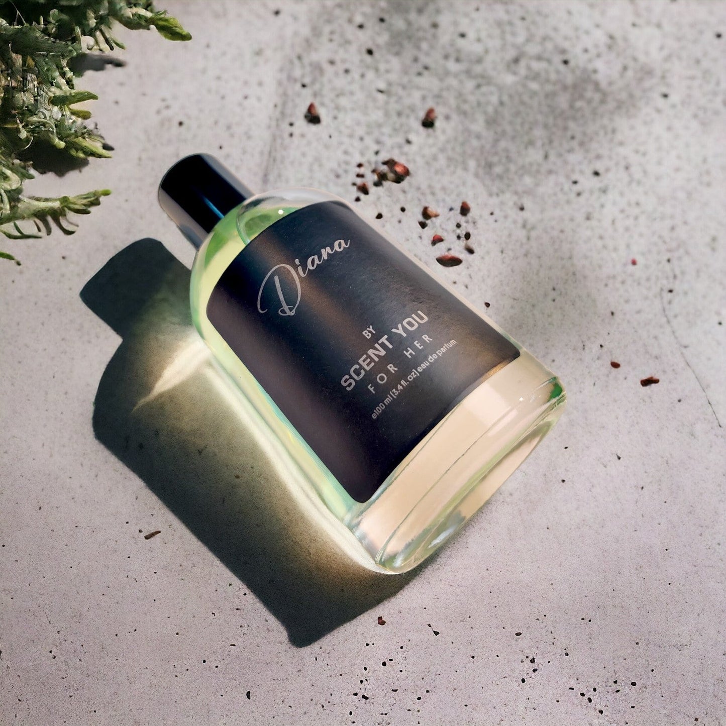 Diana - 100ml | Nearest Match to Chanel COCO - ScentYou.pk