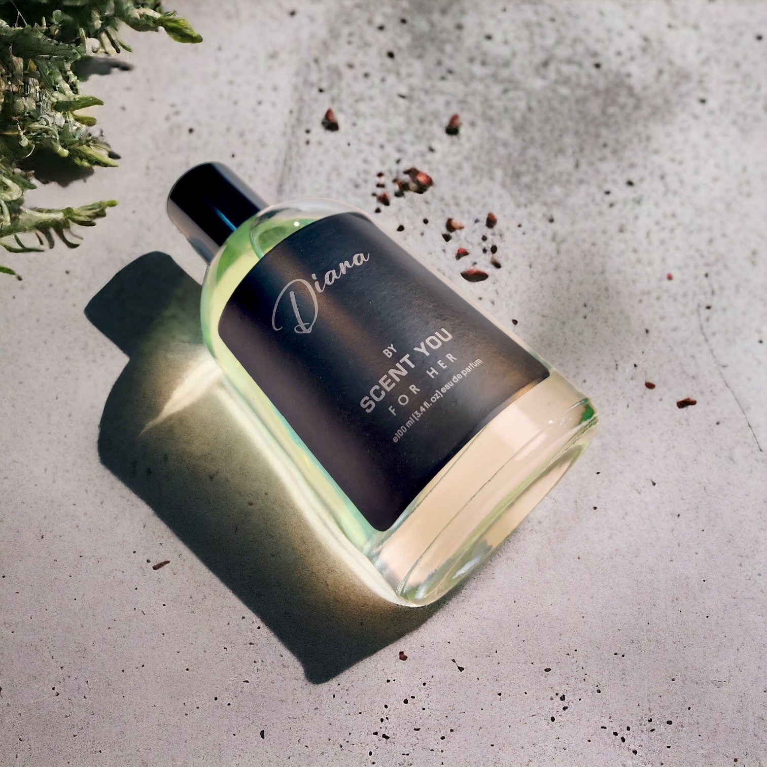 Diana - 100ml | Nearest Match to Chanel COCO - ScentYou.pk