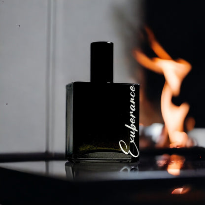 Exuberance | Nearest Match to Spice Bomb Extreme by Viktor & Rolf - ScentYou.pk