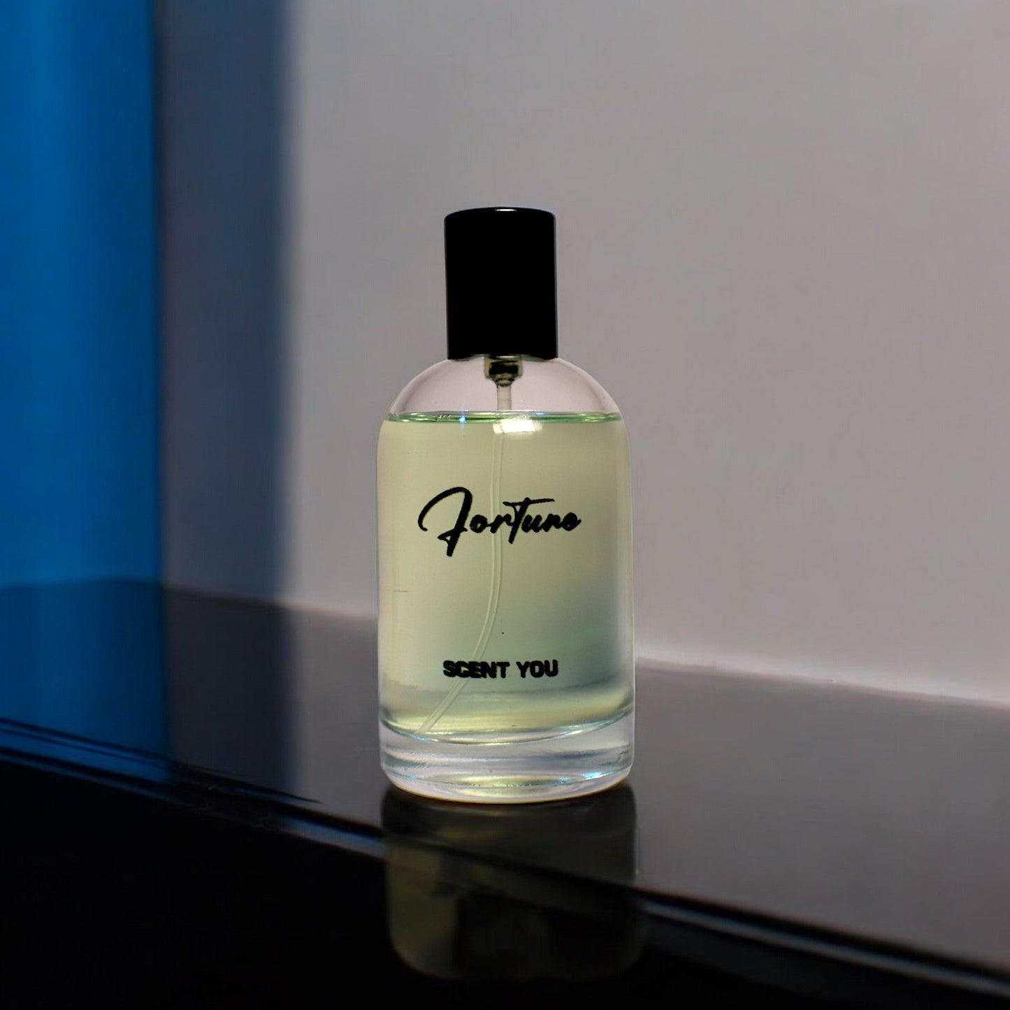 Fortune - 100ml | Nearest Match to Acqua Di Gio by Giorgio Armani - ScentYou.pk