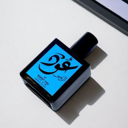 Oud Ar - Raees - 50ml | Nearest match to Ameer ul Oud - ScentYou.pk