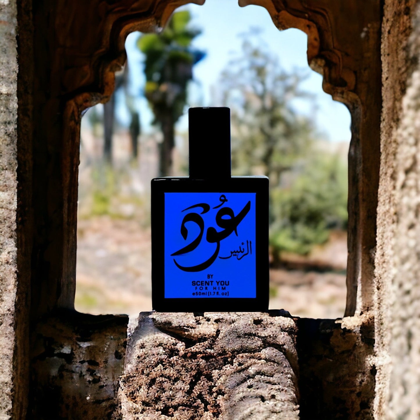 Oud Ar - Raees - 50ml | Nearest match to Ameer ul Oud - ScentYou.pk