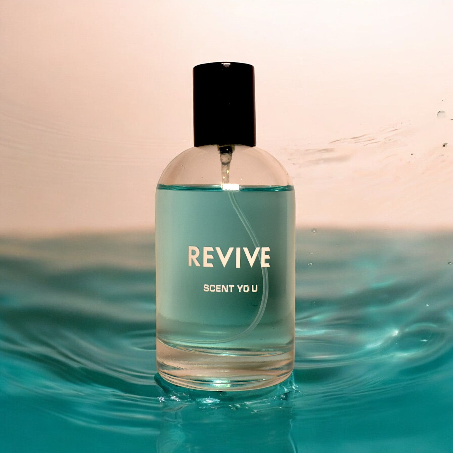 Revive | Nearest Match to Bleu de Chanel - ScentYou.pk