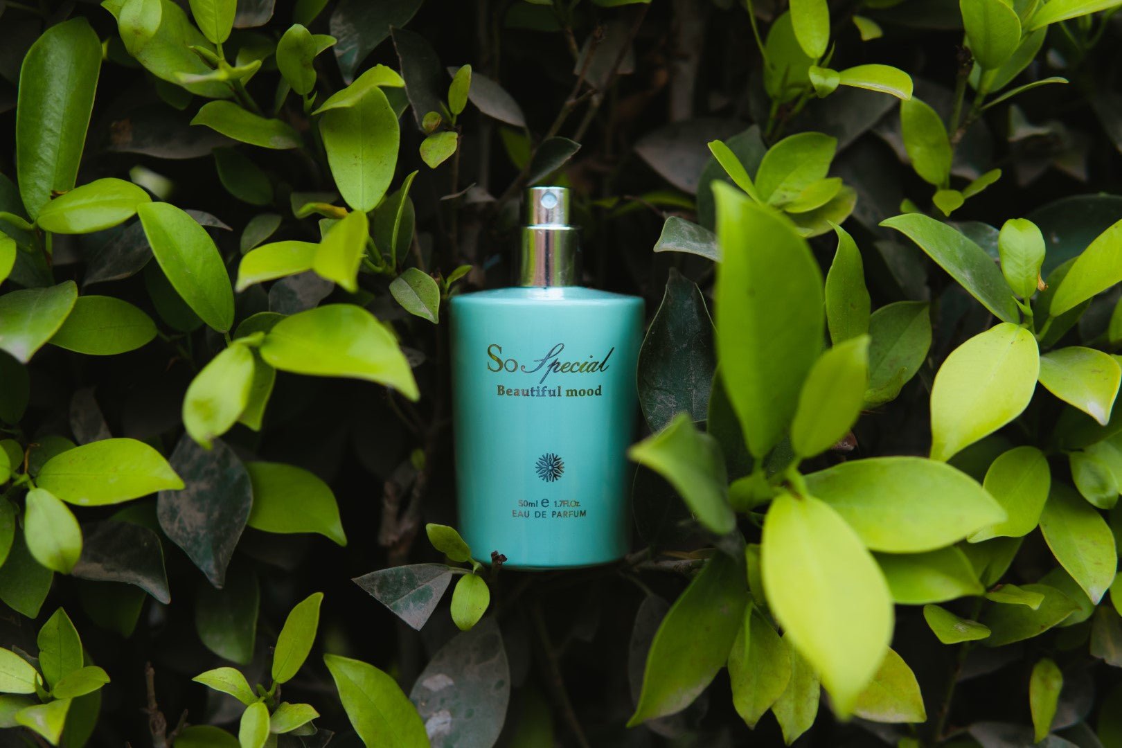 So Special Green - 50ml | Nearest Match Gucci Bloom - ScentYou.pk